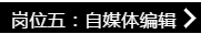 鹰诺达 鹰诺达